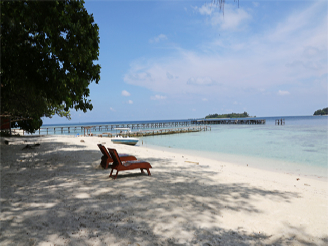 Pulau-Sepa pantai