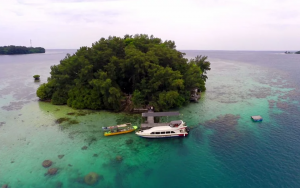 Pulau Macan, Tiger island, Pulau seribu,